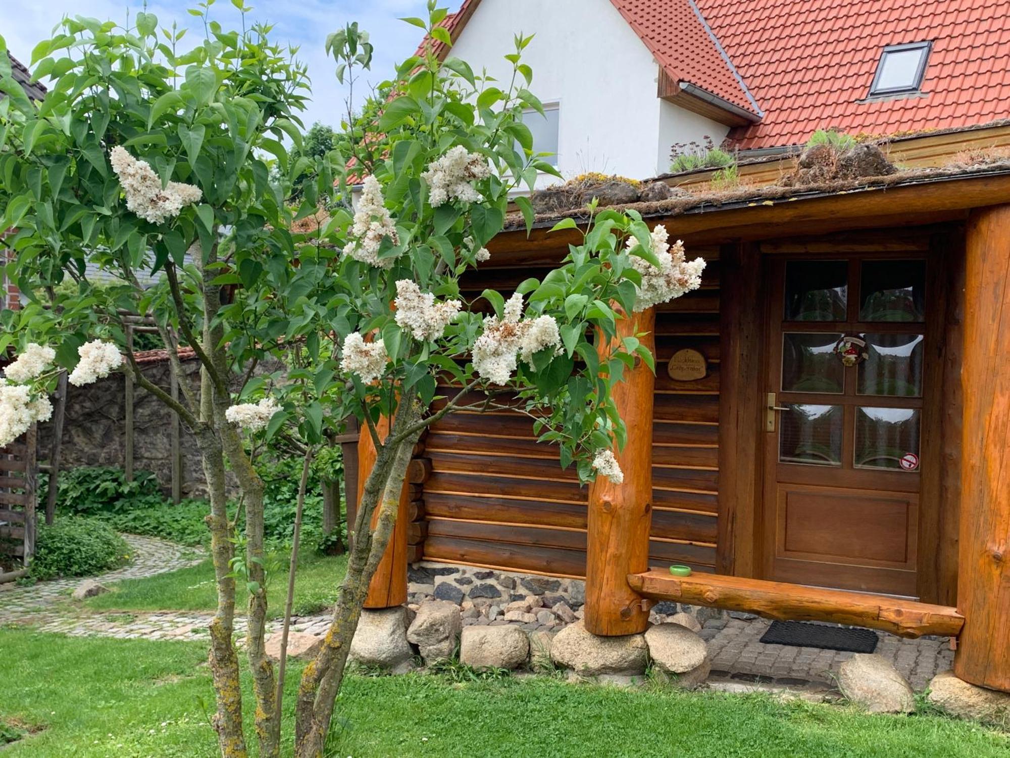 Blockhausvermietung "Vor Dem Groeperntor" Quedlinburg Exterior photo